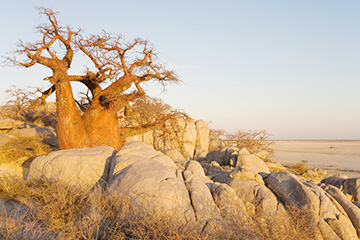 博茨瓦納夏卡維機場三字代碼(SWX),夏卡維機場(Shakawe airport)四字碼,博茨瓦納機場三字碼查詢