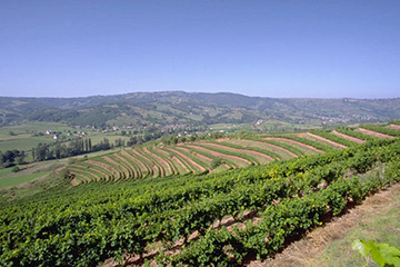 瓦利斯港口查詢_wallis港口代碼_瓦利斯和富圖納群島瓦利斯港口代碼